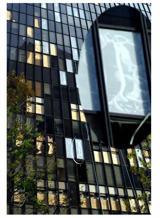 Discount 🎉 Various Brands Pane Relief 59" x 48" Window Film - 9238232248 - Weather Stripping 😉 7 Discount 🎉 Various Brands Pane Relief 59" x 48" Window Film - 9238232248 - Weather Stripping 😉 - Image 5