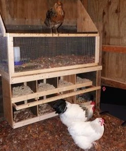 Deals 😀 Cozy Products 200 Watt Chicken Coop Heater - CL-COOP - Electric Heaters 🎁 -Heating Shop b2940bc2fefe50e2e601f4475529662bf1f90374 2 5 654